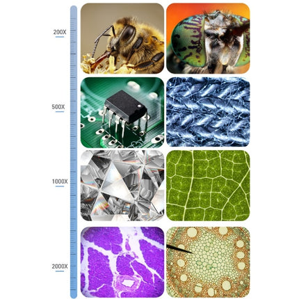 2000X 7 Zoll Mikrobielle Zelle Beobachtung Mikroskop Elektronische Digitale Lupe