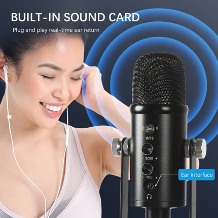 BM-86 USB Condenser Microphone Voice Recording Computer Microphone Live Broadcast Equipment Set, Cantilever Bracket Set, Standard+Small Blowout Prevention Net