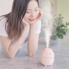 MJ013 USB Mini Air Humidifier Home Desktop Car Aroma Diffuser, White, Pink