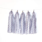 TA-0015 Striped Silver
