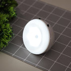 White+White Light