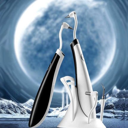 2319-S-51 Household Sonic Scaler Portable Dental Care Tool Dental Cleaning Instrument