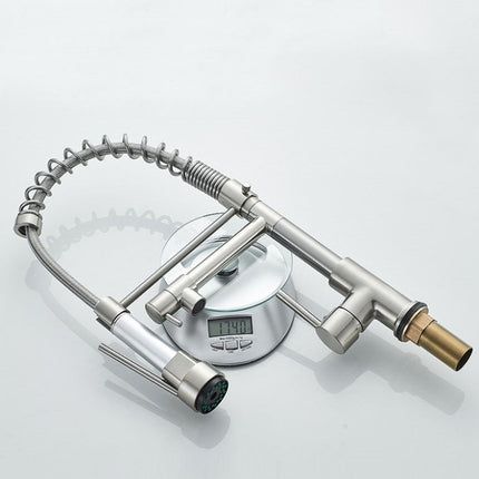 Copper And Nickel Brushed Double Outlet Spring Faucet Rotatable Kitchen Hot And Cold Water Faucet, Brushed Silver