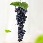 2 Bunches 110 Black Grapes