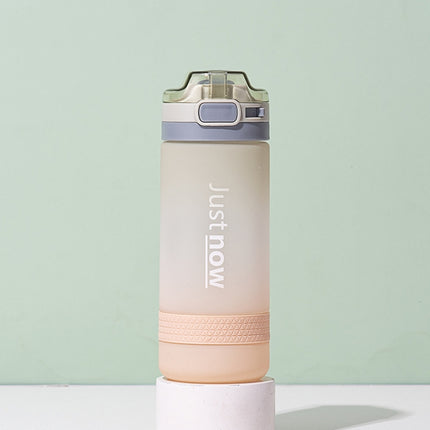 Cartoon Girl Straw Cup Fresh Frosted Gradient Scale Plastic Cup Portable Cup, 400ml, 600ml