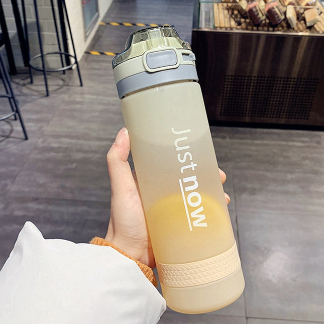 Cartoon Girl Straw Cup Fresh Frosted Gradient Scale Plastic Cup Portable Cup, 400ml, 600ml