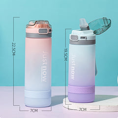 Cartoon Girl Straw Cup Fresh Frosted Gradient Scale Plastic Cup Portable Cup, 400ml, 600ml