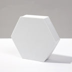 Large White Hexagon