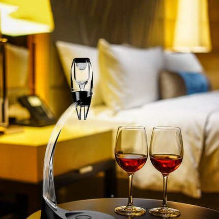 Red Wine Quick Decanter Set Decanter Filter Wine Pourer