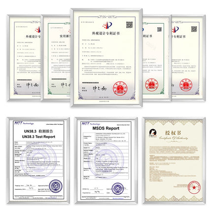 PaiPaitek PD529-2 Remote Training Dog Device Pet Training Supplies Anti-Barking Training Equipment