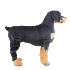 XS / Black Right Back Leg