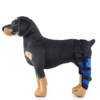 S / Blue Left Back Leg