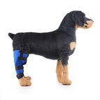 L / Blue Right Back Leg