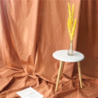 3 x 2.4m / Light Coffee