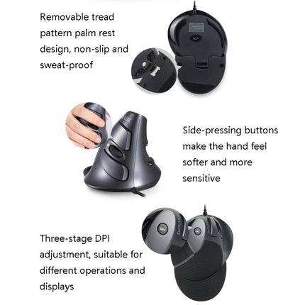 DELUX M618 6-Keys Vertical Handheld Mouse Ergonomic Wired Mouse, Cable Length: 1.5m, Wired