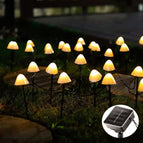 5m 20 LEDs / Warm White Light