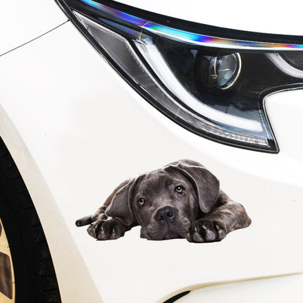 3D Simulation Dog Car Stickers Rain-Proof Sunscreen Car Sticker Scratch Shaving Decoration Stickers, Style 1 Small, Style 2 Small, Style 3 Small, Style 4 Small, Style 5 Small, Style 1 Large, Style 2 Large, Style 3 Large, Style 4 Large, Style 5 Large