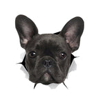 Black Dog