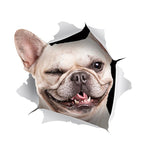 White Dog