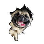 Harpi Dog
