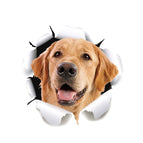 Dog Head 2 / Dog Head