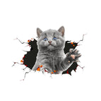 Cat Style 1 / Cat Style 1