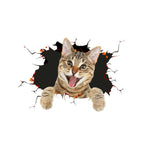 Cat Style 2 / Cat Style 2