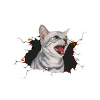Cat Style 4 / Cat Style 4