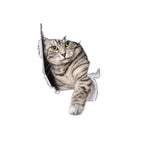 Cat Style 5 / Cat Style 5
