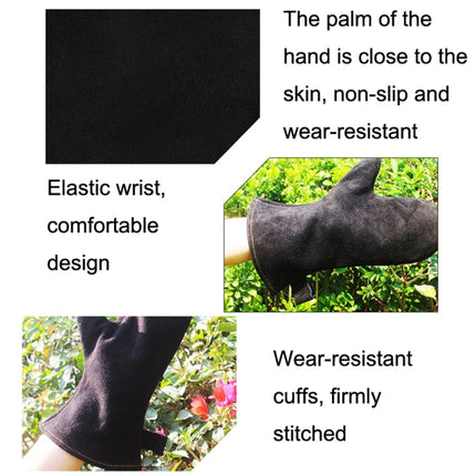 1 Pair Outdoor BBQ Genuine Leather Heat Insulation Gloves, KX139