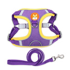 M / Purple