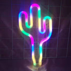 Battery or USB / Colorful  Cactus