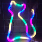USB / Colorful Cat