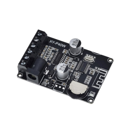 30W/40W Stereo Bluetooth Power Amplifier Plate 12V/24V High Power Digital Power Module, 30W/40W Bare Plate, 30W/40W With Acrylic Shell