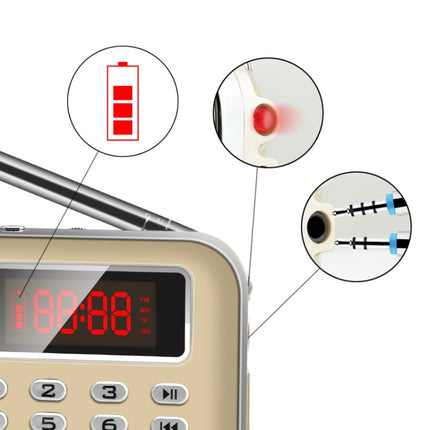 Y-619  FM/AM Mini Radio MP3 Rechargeable Music Player Support TF/SD Card with LED Display, Red, Gold, Blue, Black