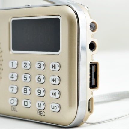 Y-619  FM/AM Mini Radio MP3 Rechargeable Music Player Support TF/SD Card with LED Display, Red, Gold, Blue, Black