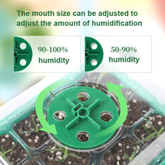 5 Set Plant Seed Starter Trays Kit,Seedling Tray Starter With Grow Light, Black, Green