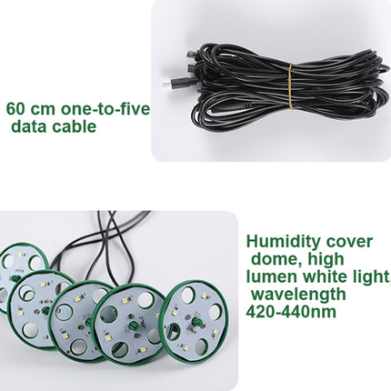 5 Set Plant Seed Starter Trays Kit,Seedling Tray Starter With Grow Light, Black, Green