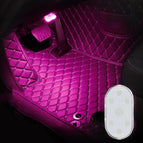 Pink Purple