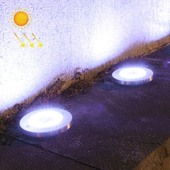 Collection image for: Vergrabene Lichter