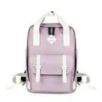 13 inch-15.6 inch / Light Purple