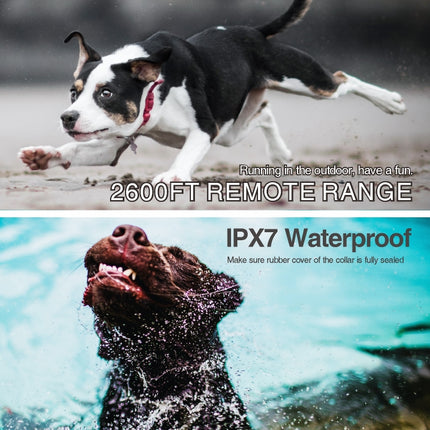 Intelligent Remote Control Dog Trainer Automatic Barking Stop Collar, Collar Black, Collar White