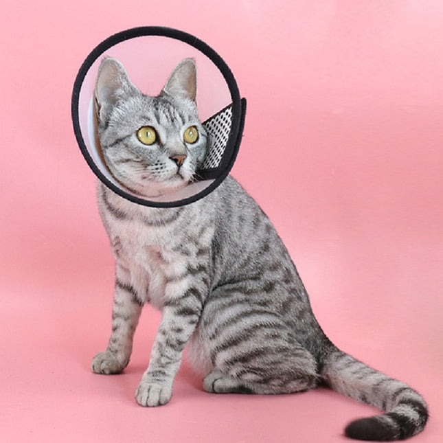 Pet Protective Headgear Cat And Dog Anti-Bite Collar After Cosmetic And Operation, Size: No.7/8cm, No.7, No.5, No.4, No.3