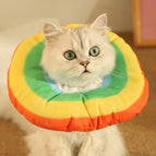 S / Rainbow