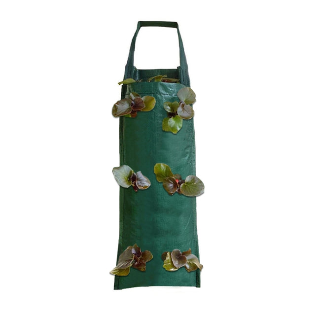 Multi-Port Grow Bags For Plant Strawberry Potato Hanging Planting Pots, Size: 10 Port, 4 Port, 6 Port, 8 Port, 10 Port