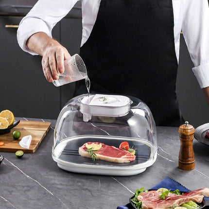 Frozen Food Quick Thaw Tray Thaw Plate