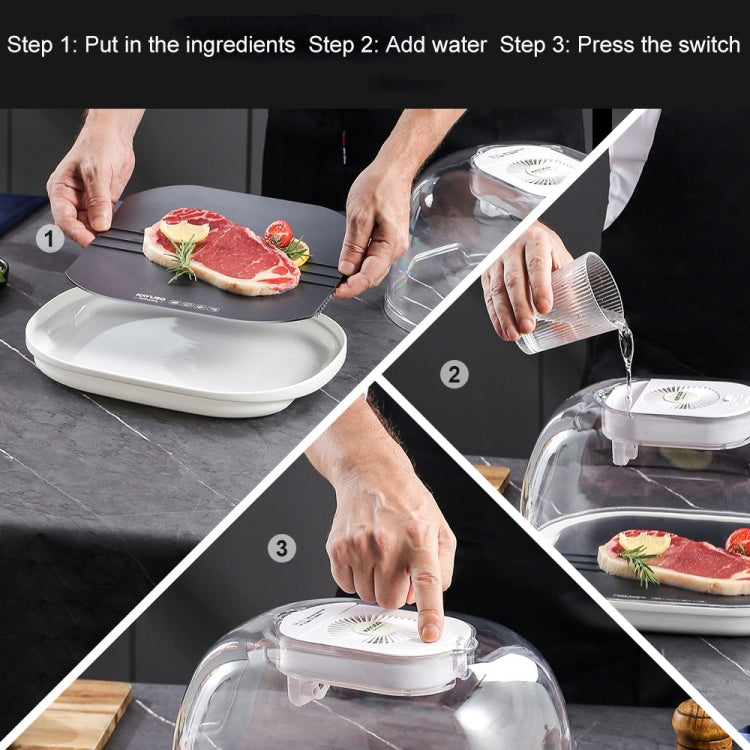 Frozen Food Quick Thaw Tray Thaw Plate