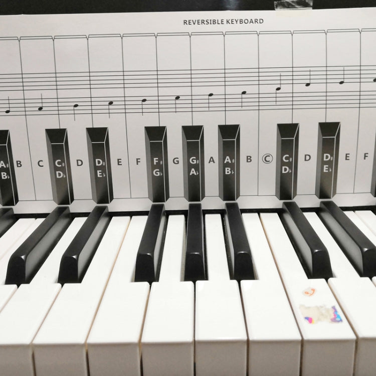 88 Keys Keyboard Piano Practice Paper Comparison Table Fingering Practice Comparison Chart, White