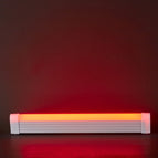17cm / Red Light