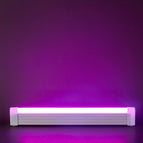 32cm / Purple Light